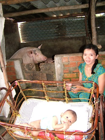 Bưng chén cơm, nhớ hàng ngàn đồng bào miền Trung đang đói 